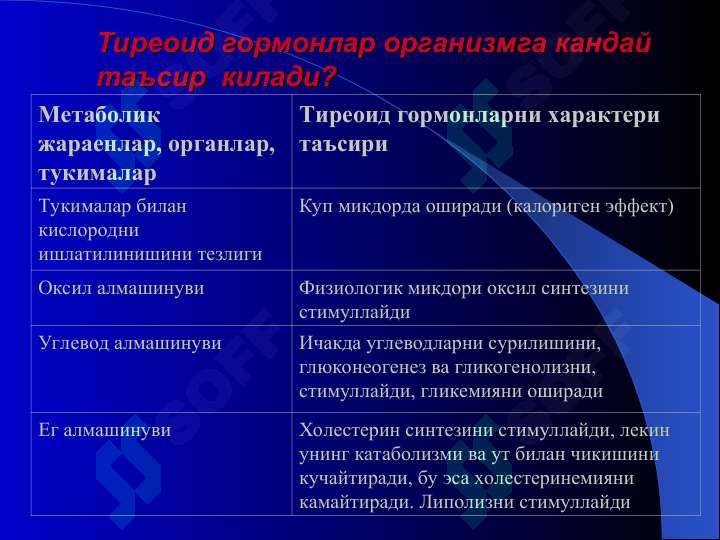 Preview 8