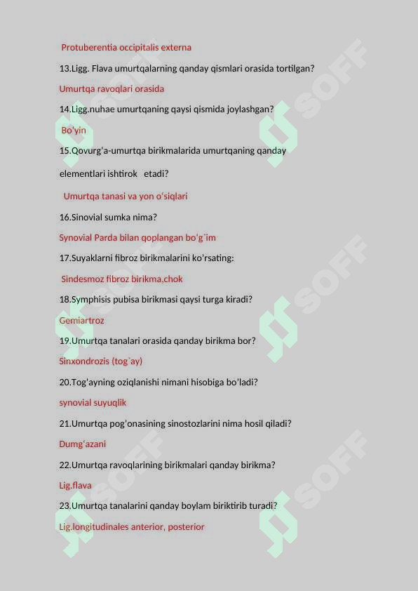 anatomiya test savollar 2