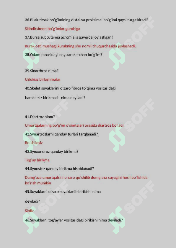 anatomiya test savollar 4