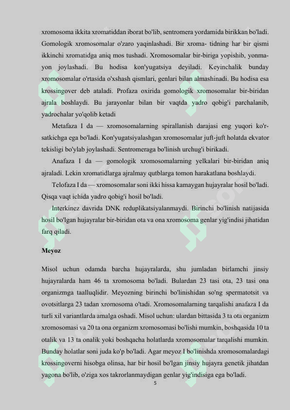 Preview 5