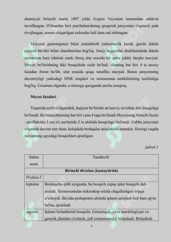 Preview 7
