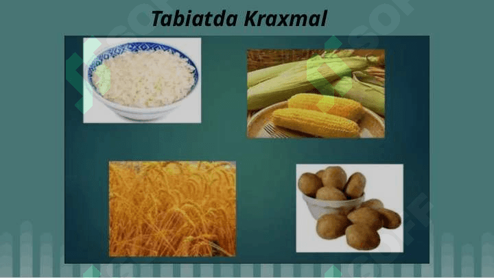 Kraxmal va kraxmal mahsulotlari 3