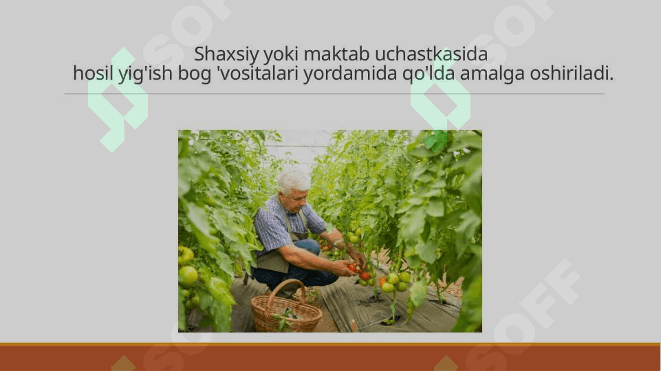 O’RIM-YIG’IM VA SAQLASH TEXNOLOGIYASI 6