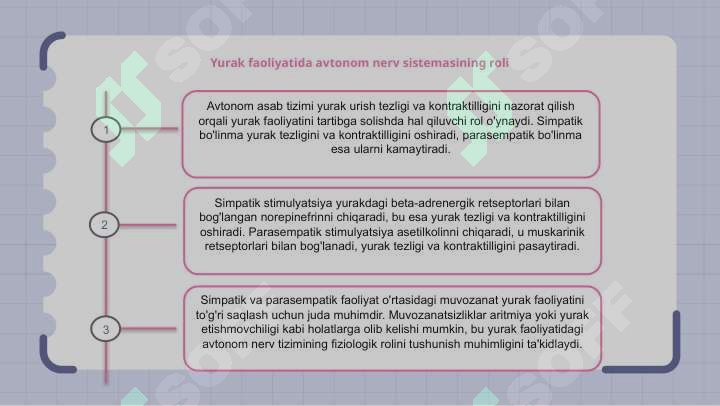 Preview 8