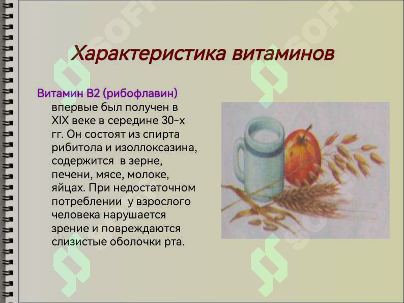 Preview 8