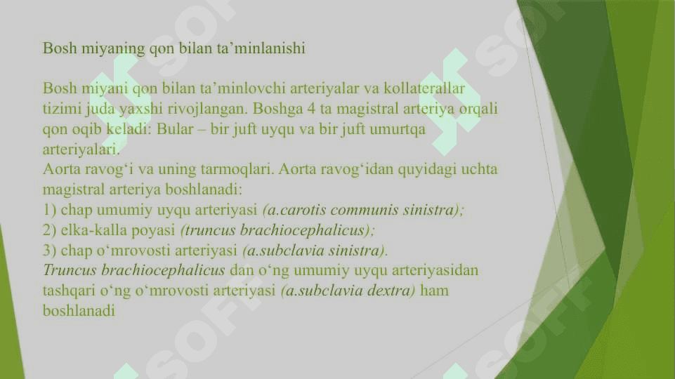 Bosh miyani qon bilan ta’minlanishi 2