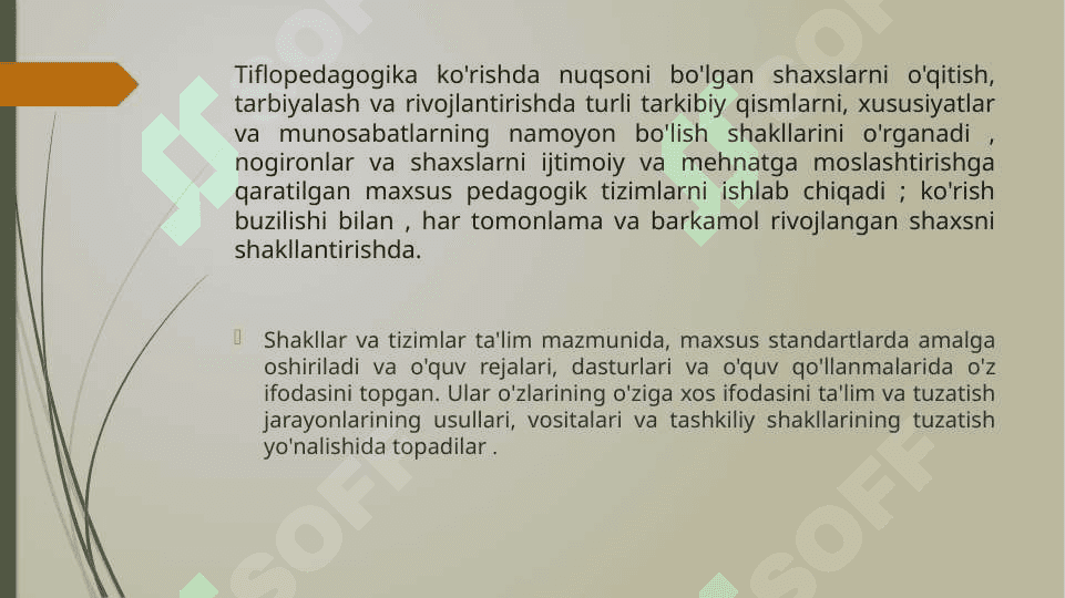 Tiflopedagogikaning tamoyillari 4