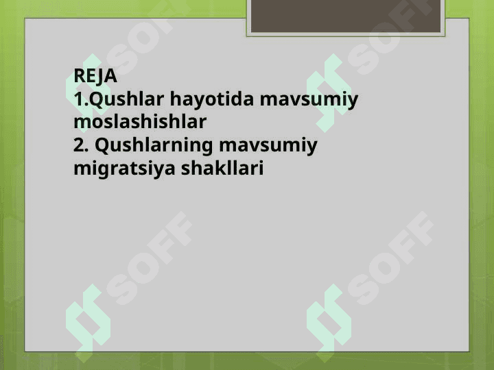 Qushlar hayotida mavsumiylik, uning sabablari va ahamiyati. 2