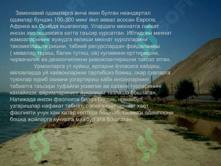 Preview 5