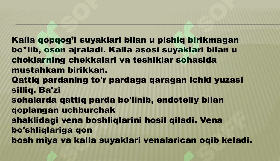 Preview 6
