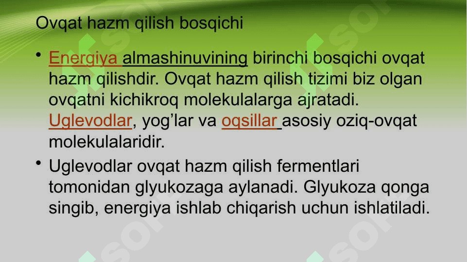 Energiya almashinuvi bosqichlari haqida 3