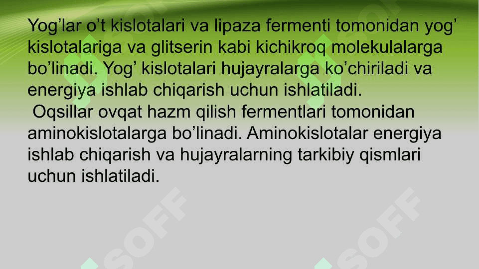 Energiya almashinuvi bosqichlari haqida 4