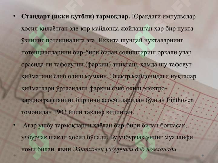 Preview 8