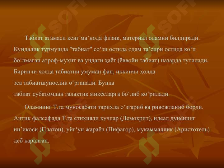Preview 5