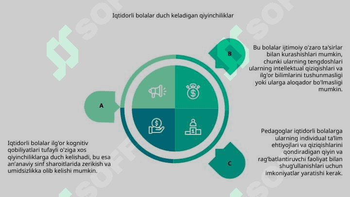 Iqtidorli bolalarni o'qitishning asosiy tamoyillari 7