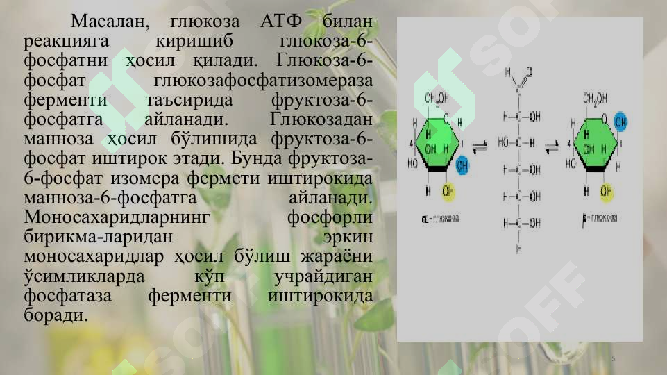 Preview 5