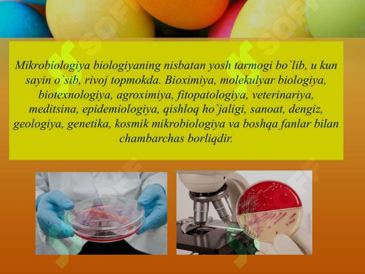Preview 4