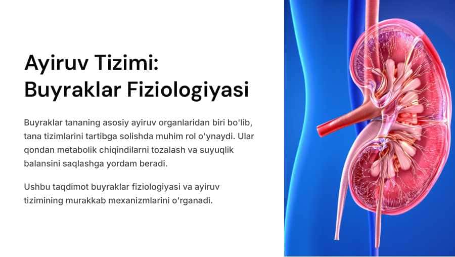 Ayiruv sistemasi. Buyraklar fiziologiyasi