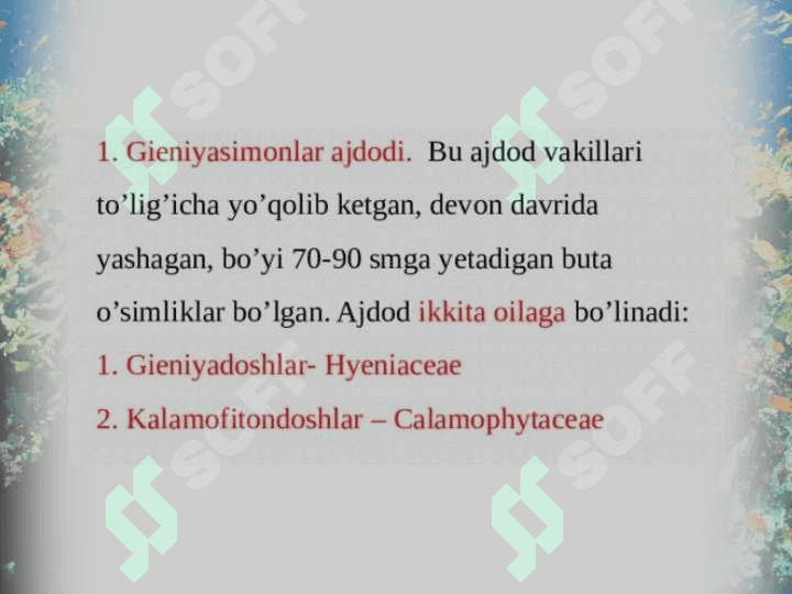 Qirqbo’g’imdoshlar oilasi. 6