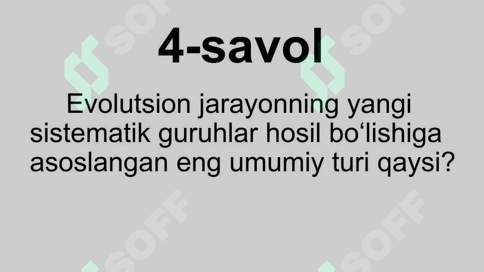 Preview 8