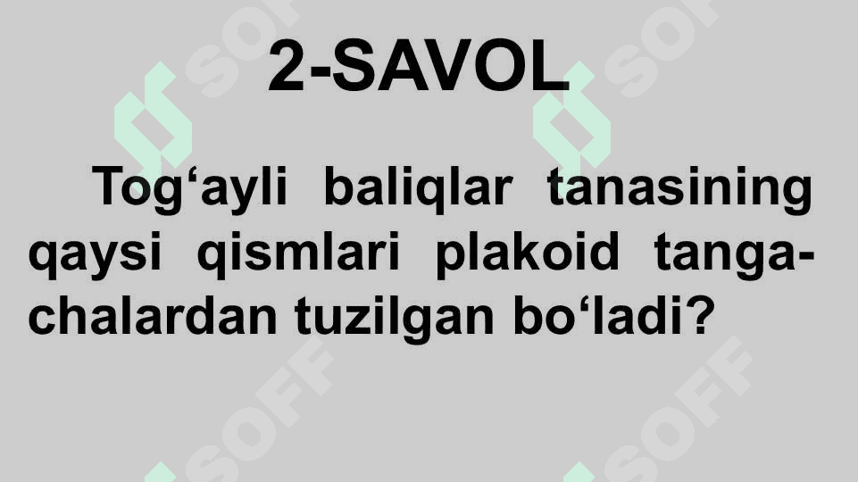 HAYVONLARNING NAFAS OLISH ORGANLARI EVOLUTSIYASI 4