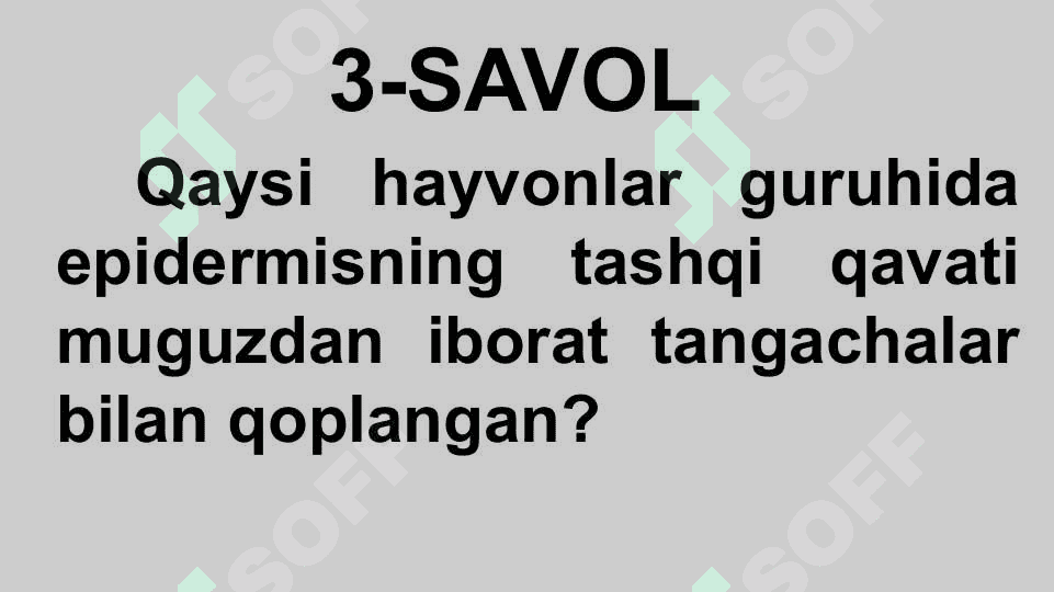 HAYVONLARNING NAFAS OLISH ORGANLARI EVOLUTSIYASI 6