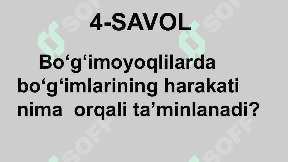 HAYVONLARNING NAFAS OLISH ORGANLARI EVOLUTSIYASI 8