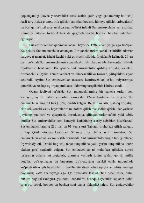 Preview 5