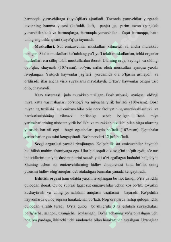 Preview 7
