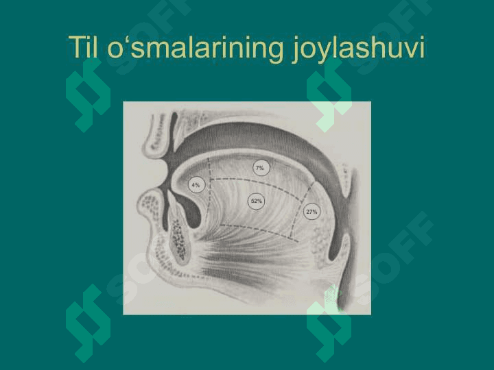 Til, lunj, tanglay va og'iz tubi o'smalari 5