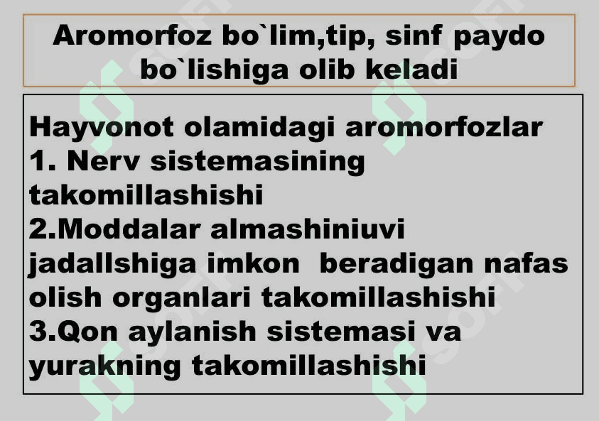 Umurtqali hayvonlar misolida aromorfoz, idiodaptatsiyalarni  o`rganish 2