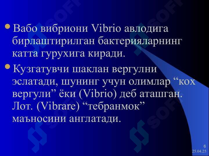 ВАБО 6