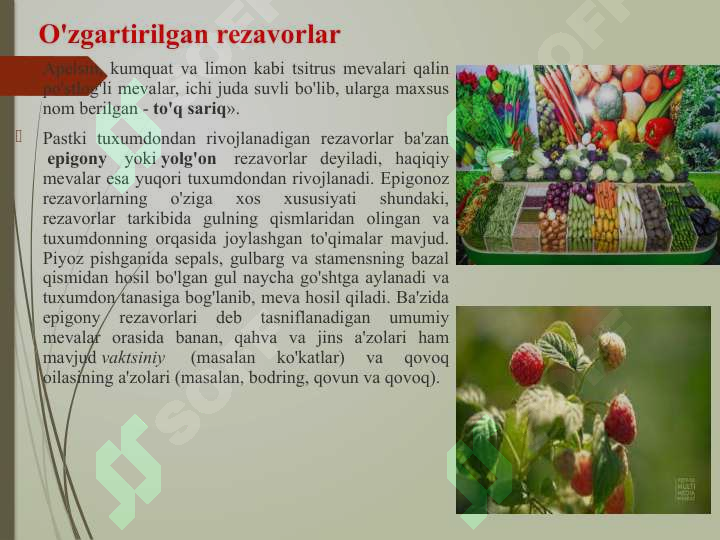 Preview 6