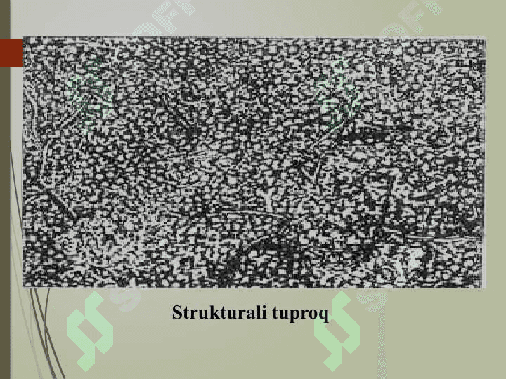 Tuproq strukturasi, suv xossalari, tuproqning havo xossasi va havo rejimi 8