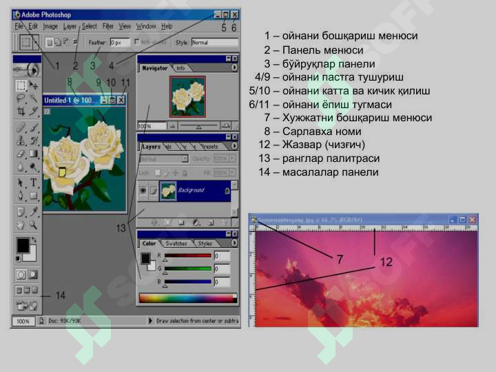 Preview 5