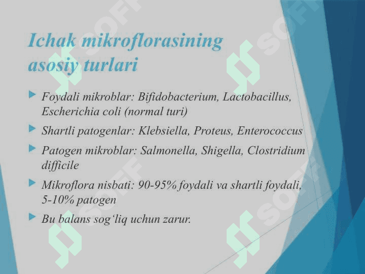 Mavzu: Ichaklar biotsenozi 3