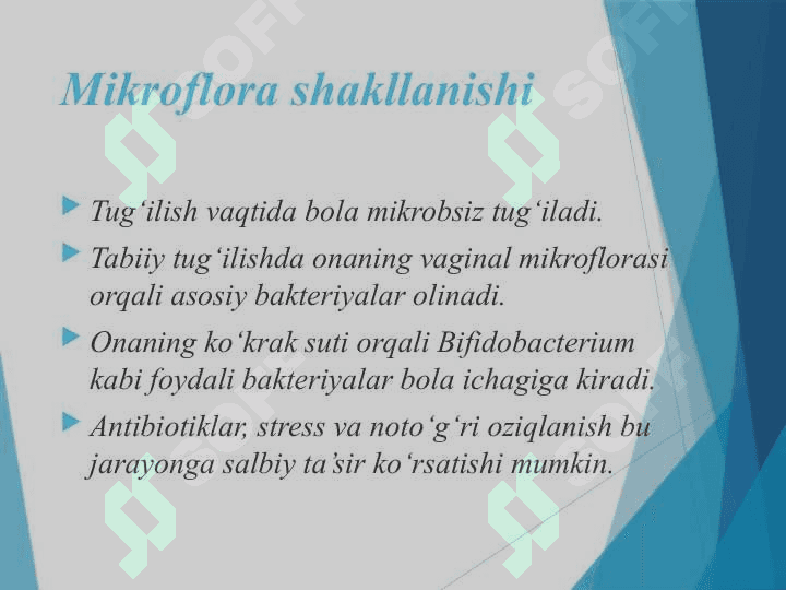 Mavzu: Ichaklar biotsenozi 4