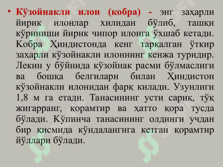 Preview 7