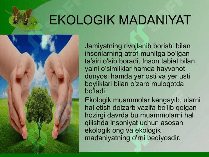 ekologik madaniyat 2