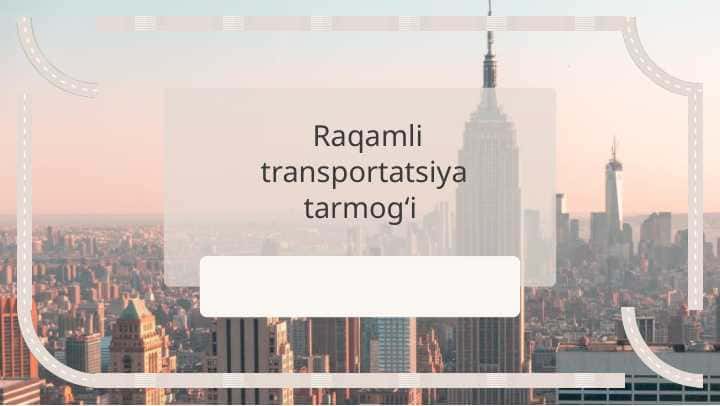 Raqamli transportatsiya tarmogʻi
