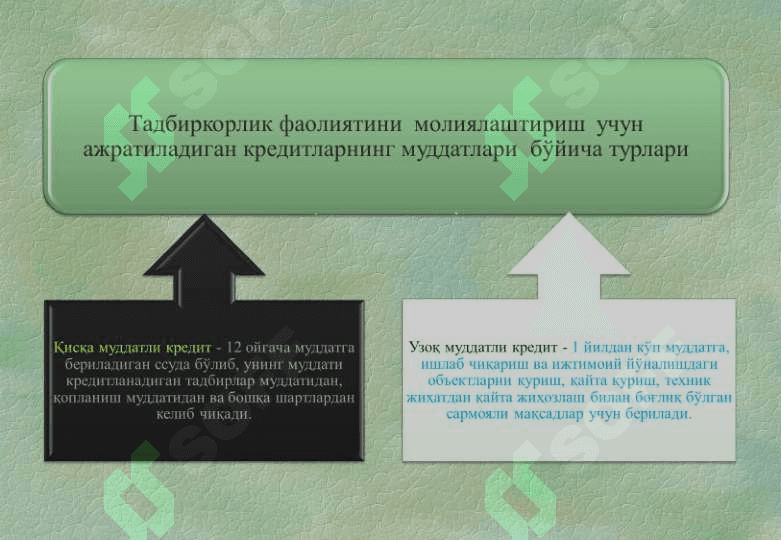 Ўзбекистонда кичик бизнес ва тадбиркорликни ривожлантириш истиқболлари 3