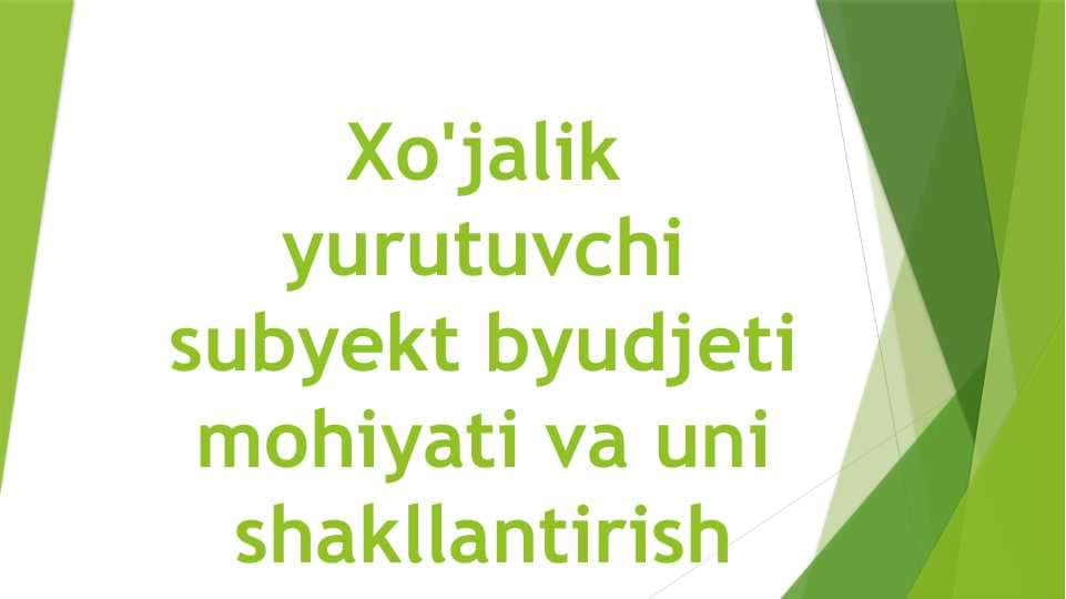 Xo'jalik yurutuvchi subyekt byudjeti mohiyati va uni shakllantirish