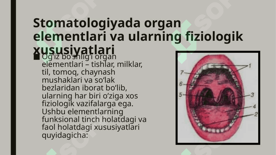 Funksional tinch holat. Stomatologiyada organning elementlari Chaynashlaring kuch va ishi. Fiziologik elektr xosasi 6