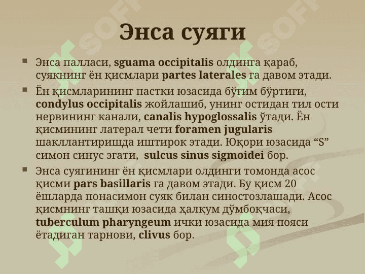 Калла суяги. Калла суягининг мия қисми суяклари  энса, тепа, пешона ва  ғалвир суяклари, уларнинг ёшга доир хусусиятлари. 6