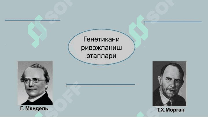 Умумий генетика асослари 8