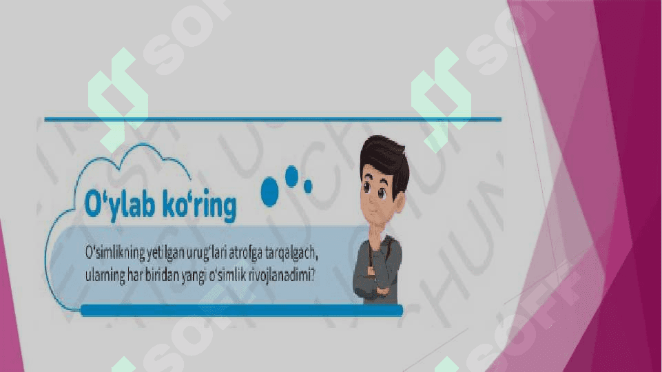 Urug'larning unib chiqishi 2