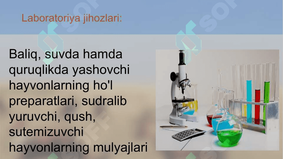 Umurtqali hayvonlar misolida aromorfoz, idioadaptatsiyalarni o'rganish 4