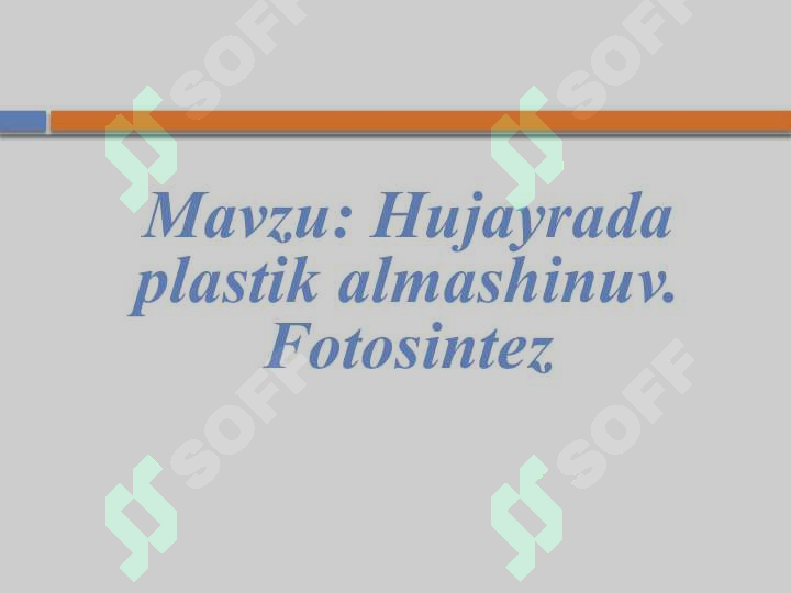 Preview 2