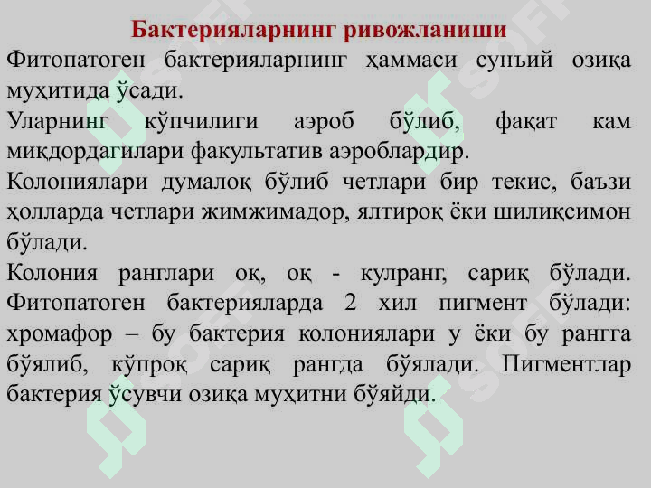 Preview 7