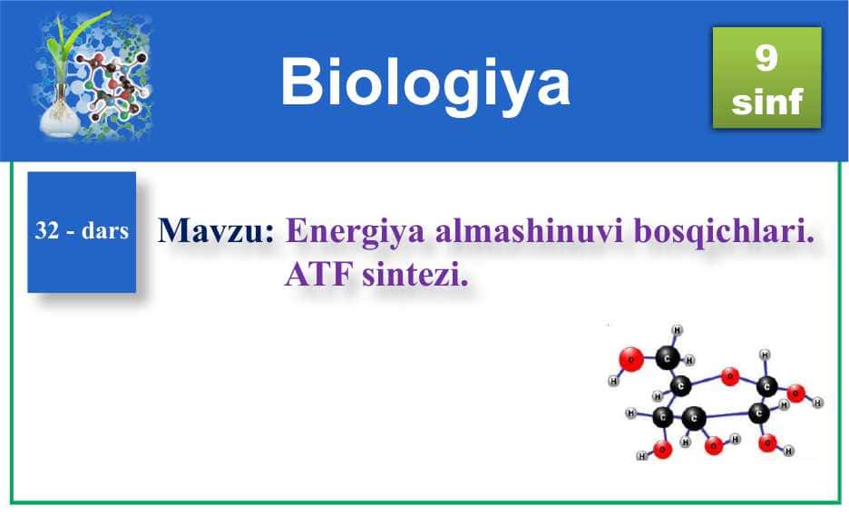 Energiya almashinuvi bosqichlari. ATF sintezi